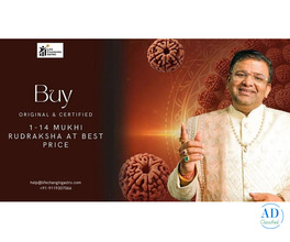 Buy Original & Certified 1 to 14 Mukhi Rudraksha at Best Price