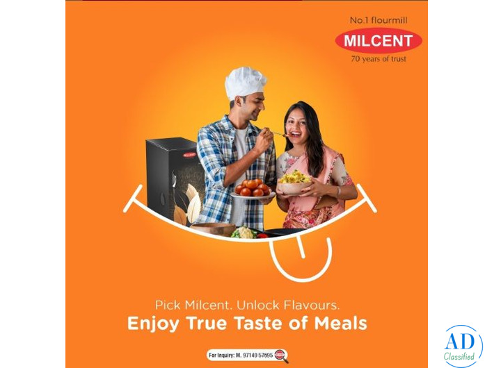 Fully Automatic Domestic Flour Mill for Home – Best Price