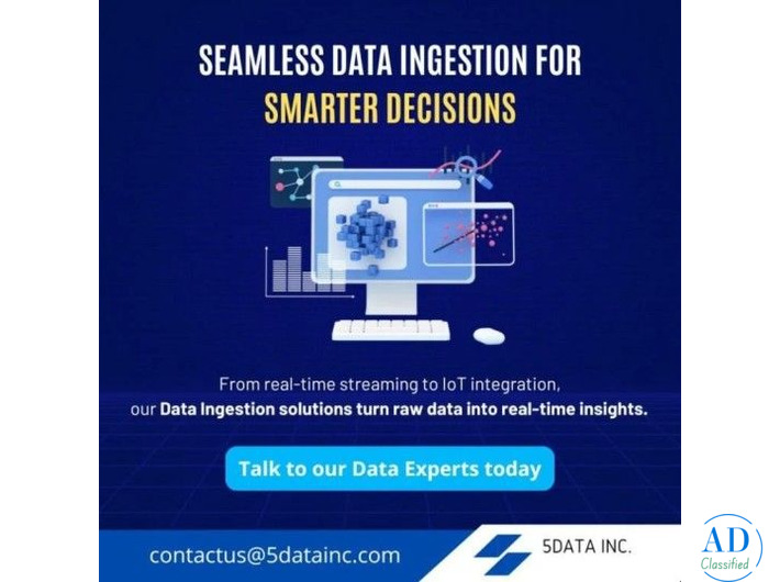 Smart Data Ingestion by Data Management Service Providers