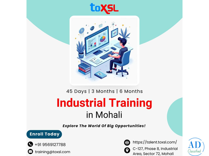 6 Months Industrial Training in Mohali For Job-Ready IT Skills | ToXSL Technologies