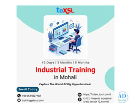6 Months Industrial Training in Mohali For Job-Ready IT Skills | ToXSL Technologies