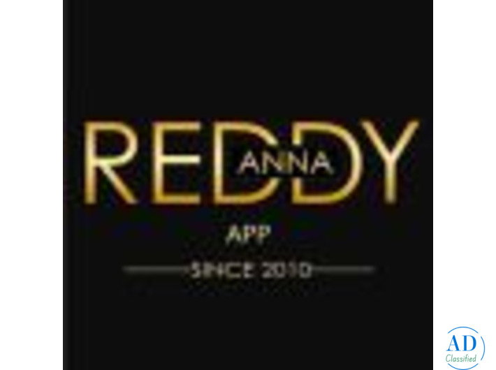 Reddy Anna Book Online Exchange: 24/7 Sports Updates India 2025