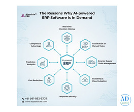 See Absolute ERP in Action – Free Demo Video