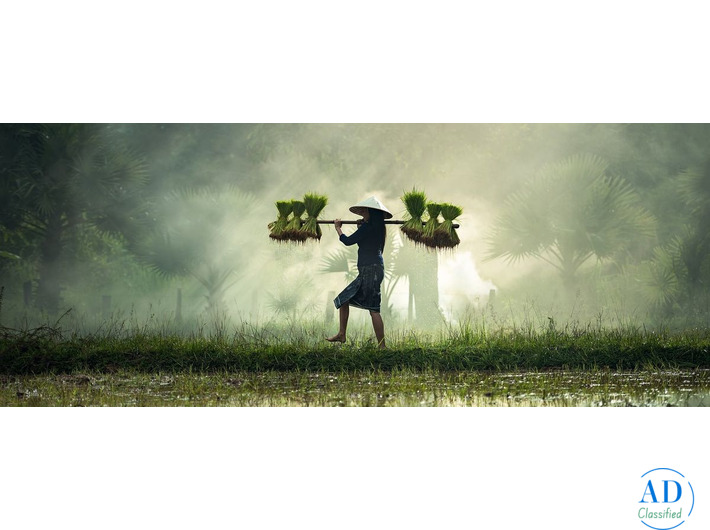 Best Luxury Hotels in Vietnam | Travel & Tour Booking | Luxury Getaways