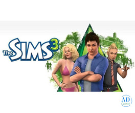 The SIMS 3