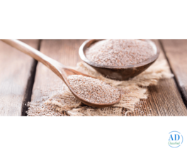 Best Psyllium Seed Manufacturers and Suppliers in India