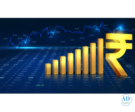 Expert Live Stock Market Classes