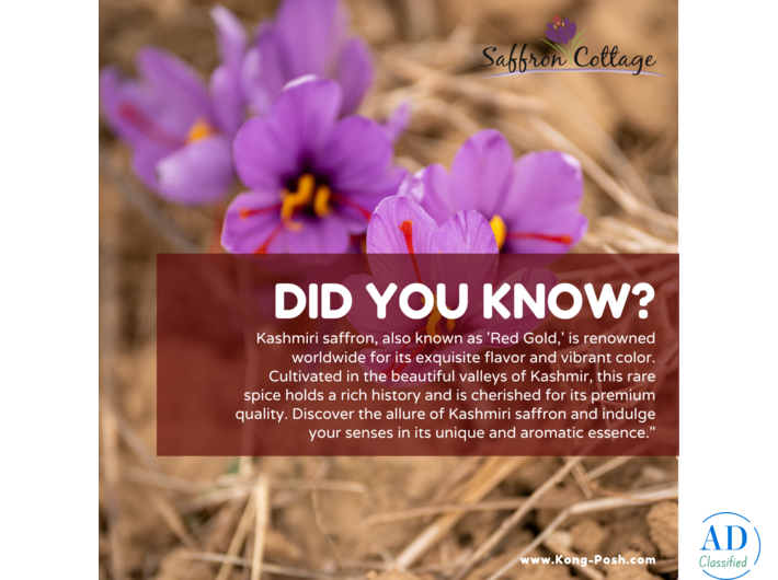 Authentic Kashmiri Saffron at Saffron Cottage