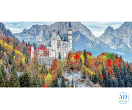 Affordable Switzerland Honeymoon Packages from India