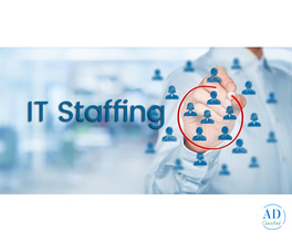 Leading IT Staffing and Consulting Companies – Employvision