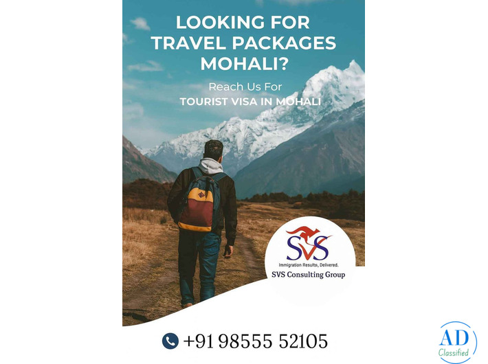 Which Travel Packages Mohali Option Suits You Best?