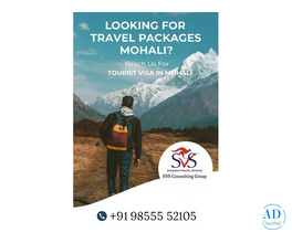 Which Travel Packages Mohali Option Suits You Best?