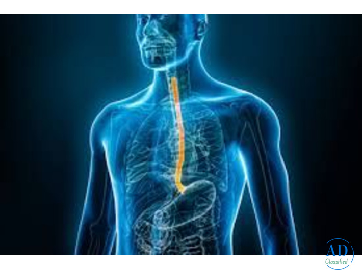 Top Esophageal Cancer Treatment in Ahmedabad | Dr. Mihir Shah