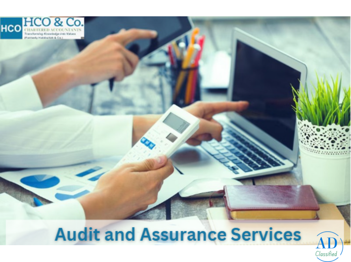 What is the fundamental difference between audit and assurance services?