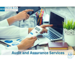 What is the fundamental difference between audit and assurance services?