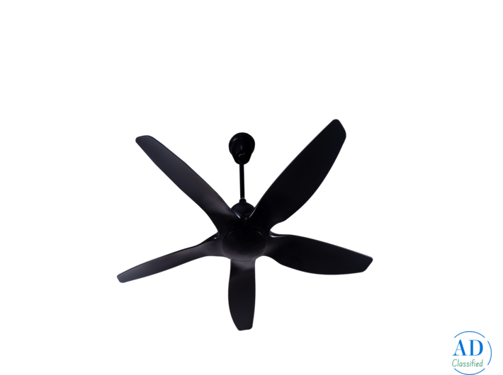 Best Quality Elegant Designer Fan
