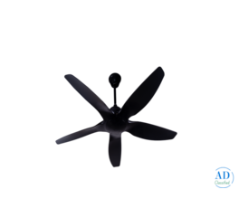 Best Quality Elegant Designer Fan