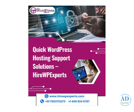 Quick WordPress Hosting Support Solutions – HireWPExperts