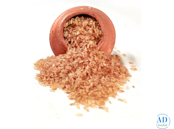 Launch Your Rice Dealership in Bangalore with Ease!