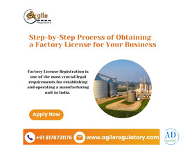 MCD Factory License Assistance