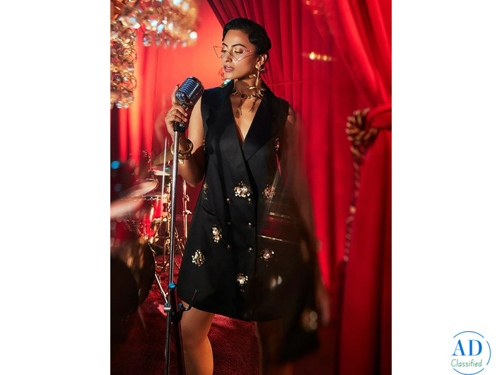 Elizabeth Embroidered Lapel Dress on Black Friday – Stylish Dress for Women