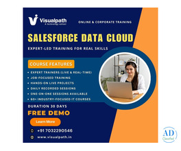 Salesforce Data Cloud Training | Salesforce Data Cloud Course