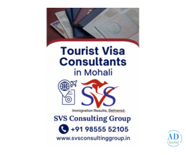 Which Tourist Visa Consultants in Mohali Offer the Best Support?