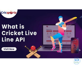 Cricket Data API: Complete Access to Scores, Stats & Match Insights