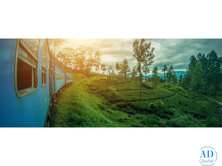 Best Luxury Hotels in Sri Lanka for a Premium Beach & Nature Holiday