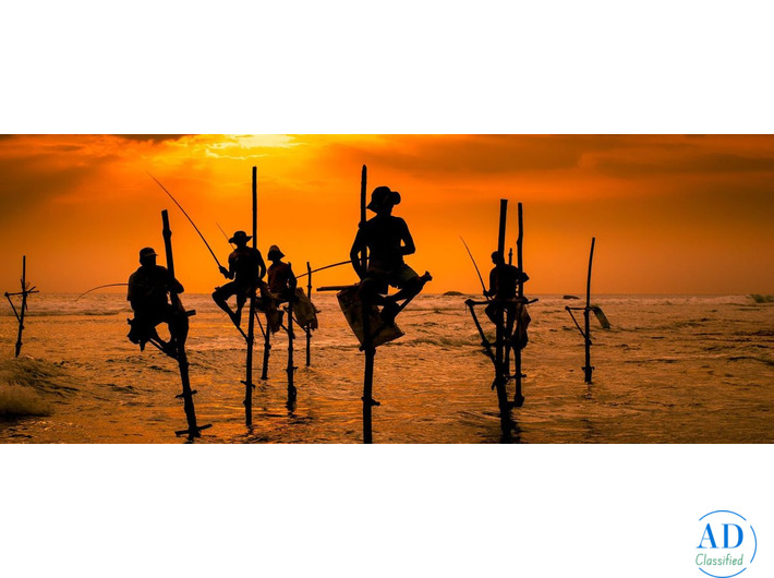 Best Luxury Hotels in Sri Lanka for a Premium Beach & Nature Holiday