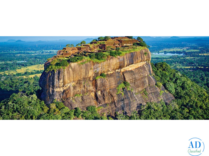 Best Luxury Hotels in Sri Lanka for a Premium Beach & Nature Holiday