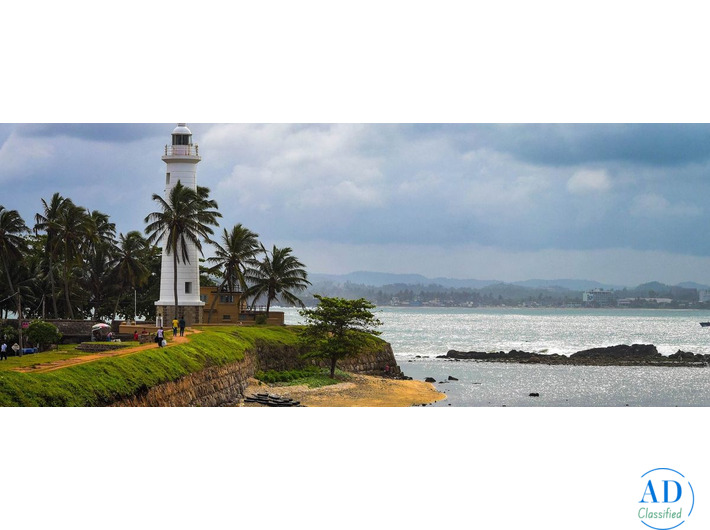 Best Luxury Hotels in Sri Lanka for a Premium Beach & Nature Holiday