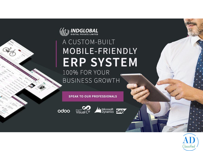 Custom ERP Services provide in Dubai