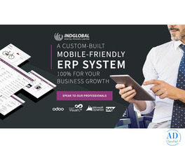 Custom ERP Services provide in Dubai