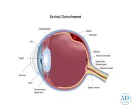 Best Eye Hospital in Howrah - Dristipath Eye Hospital