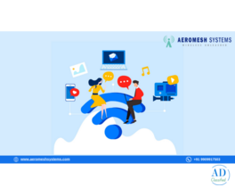 Wireless Mesh Network for Maintaining Performance Stability