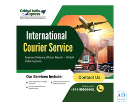 Global India Express International Courier Services in Delhi