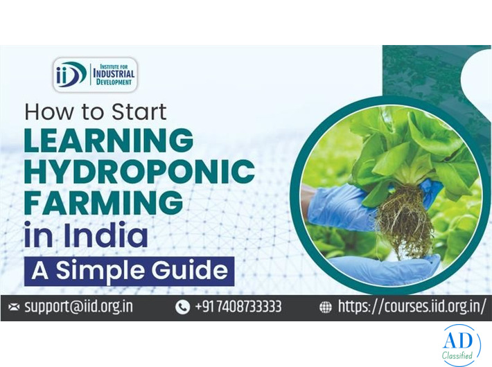 Best Beginner Hydroponic Farming Course online in India