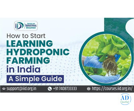 Best Beginner Hydroponic Farming Course online in India