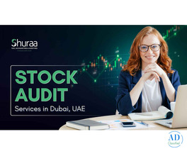 Affordable Stock Audit Services in Dubai, UAE