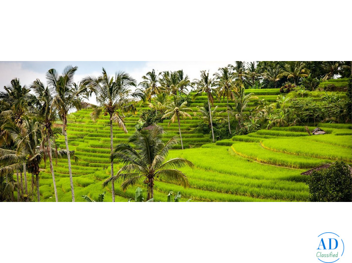 Premium Luxury Hotels in Bali for Peace, Beauty & Island Charm | Luxury Getaways