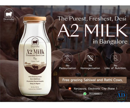 Pure Desi cow milk near me
