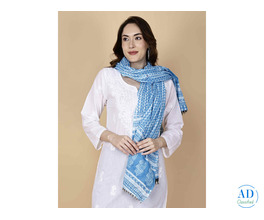 Elegant Sky Blue printed Cotton Dupatta by Pretty Lady – Premium Quality