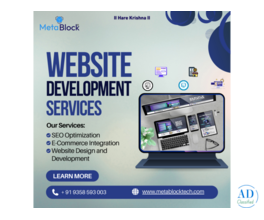 Custom Software Development Service Company in India