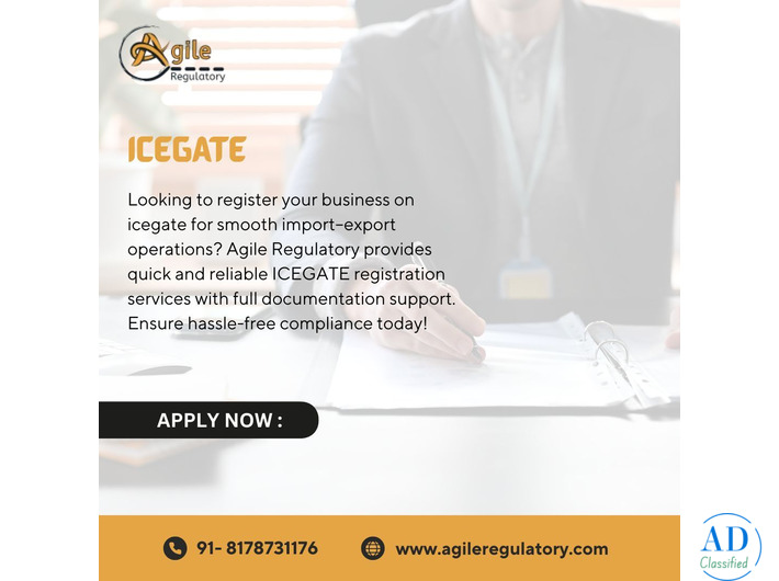 Agile Regulatory – Expert Help for ICEGATE Filing