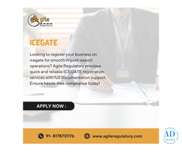 Agile Regulatory – Expert Help for ICEGATE Filing