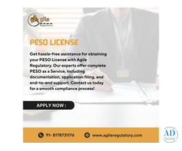 Affordable PESO Permit Processing – Keep Your Pesos Safe