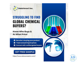 Grow your Chemical Export Business with Dataversee