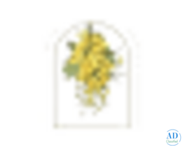 Resort with private pool in Jaipur-- Anopura