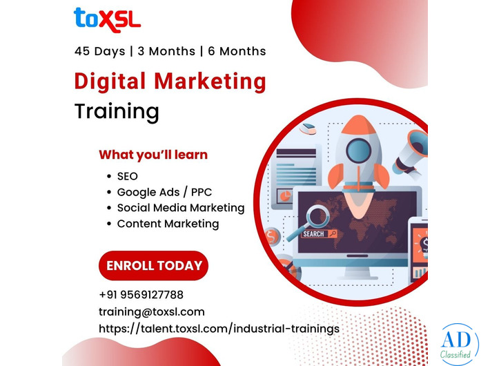 Digital Marketing Training in Mohali to Boost Your Marketing Career – ToXSL Technologies
